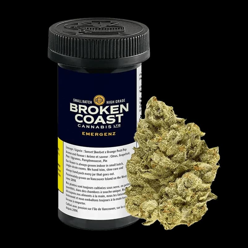 Broken Coast - EmergenZ 7g Dried Flower