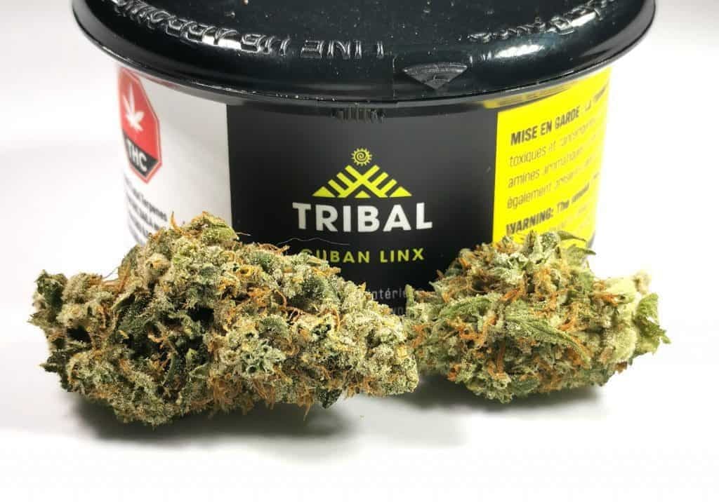 Tribal - CUBAN LINX 3.5g Dried Flower