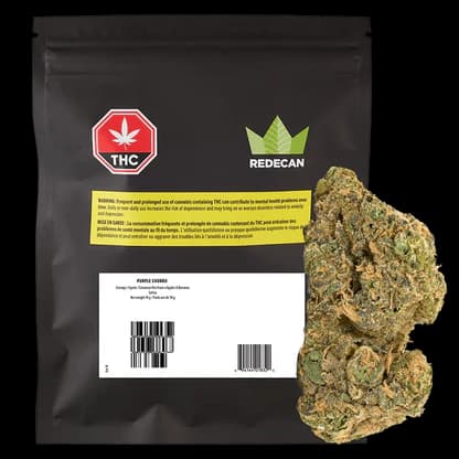 Redecan - Purple Churro 14g Dried Flower