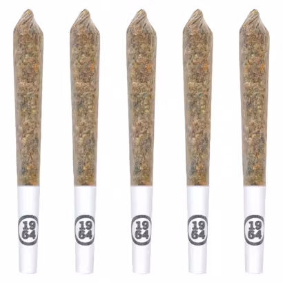 1964 - Blue Dream 5 x 0.5g Pre-Rolls