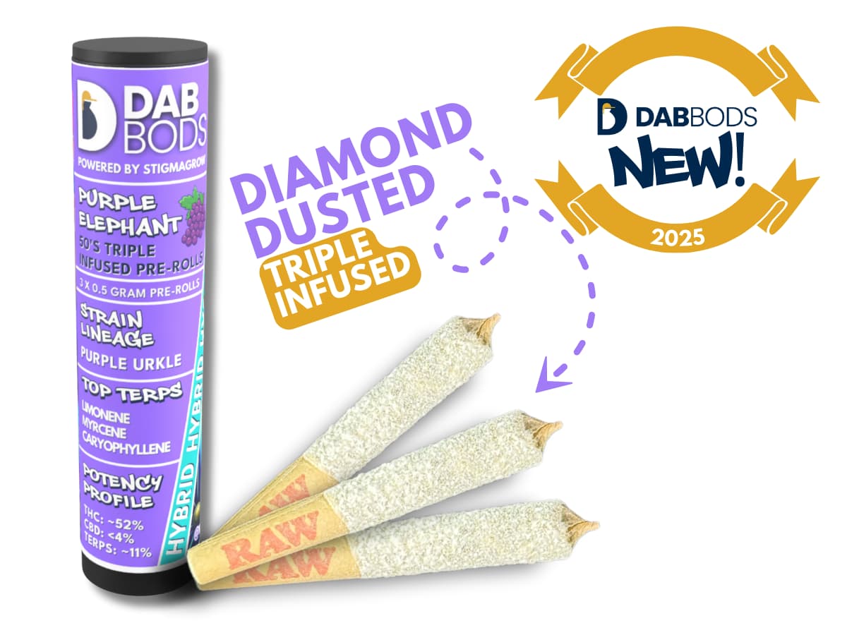 Dab Bods - Hawaiian Plushers 60's+ 3 x 0.5g Dbl Infused Pre-Rolls