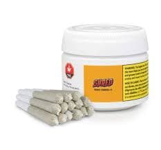 Shred - Tropic Thunder J's 14 x 0.5g Pre-rolls