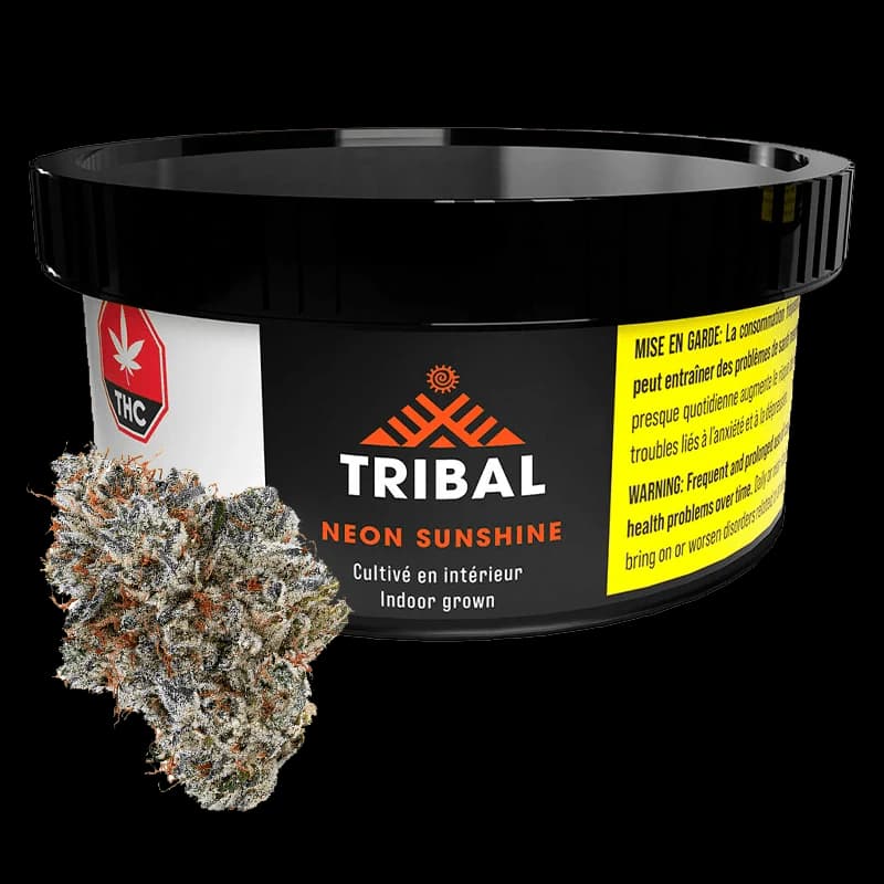 Tribal - Neon Sunshine 3.5g Dried Flower