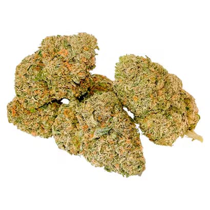 DayDay - Whole Plant CBG Bud 3.5g Dried Flower
