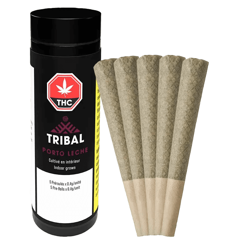 Tribal - Porto Leche 5 x 0.6g Pre-Rolls