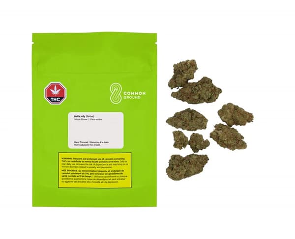 Common Ground - Hella Jelly 7g Dried Flower