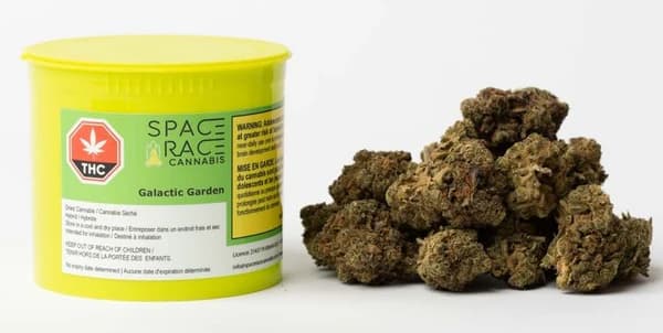 SPACE RACE CANNABIS - Galactic Garden 14g Dried Flower