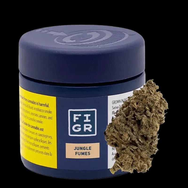 FIGR - Jungle Fumes 3.5g Dried Flower