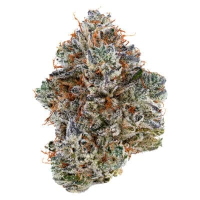 Good Supply - Good Supply Pumpkin Spice 7g Dried Flower