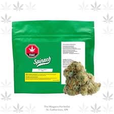 Spinach - Atomic Sour Grapefruit 28g Dried Flower by Spinach - Flower