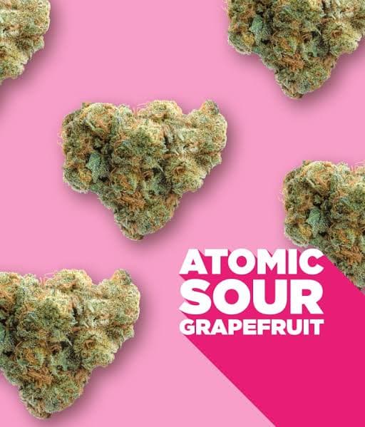 Spinach Spinach - Atomic Sour Grapefruit 28g Dried Flower 28g — Flower