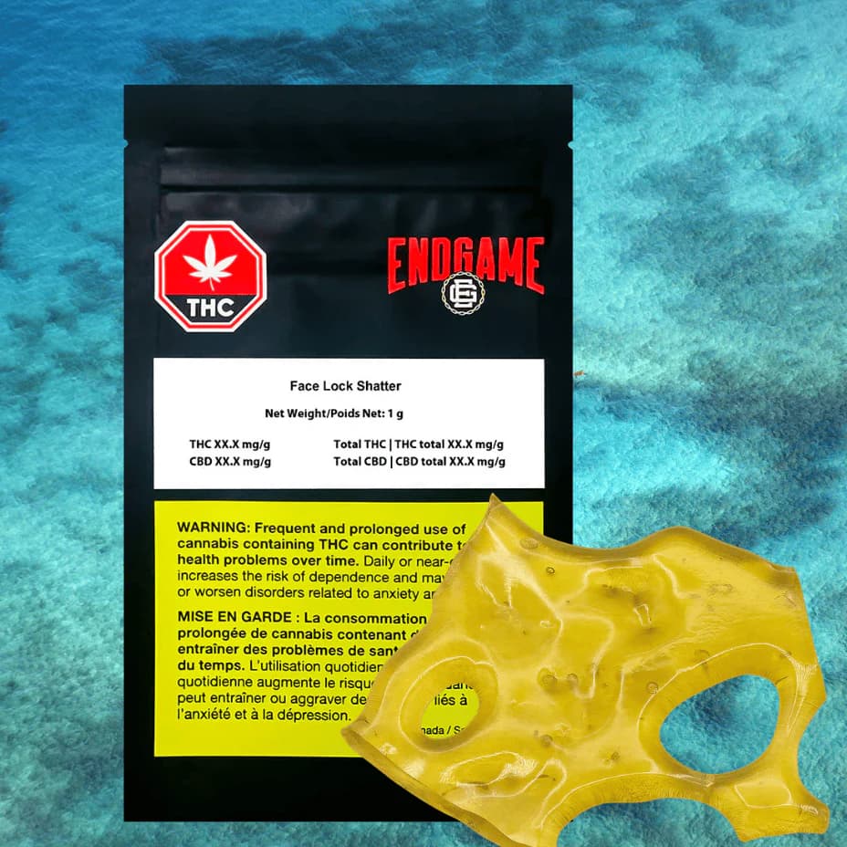 Endgame Endgame - Facelock 1g Shatter 1g — Concentrates