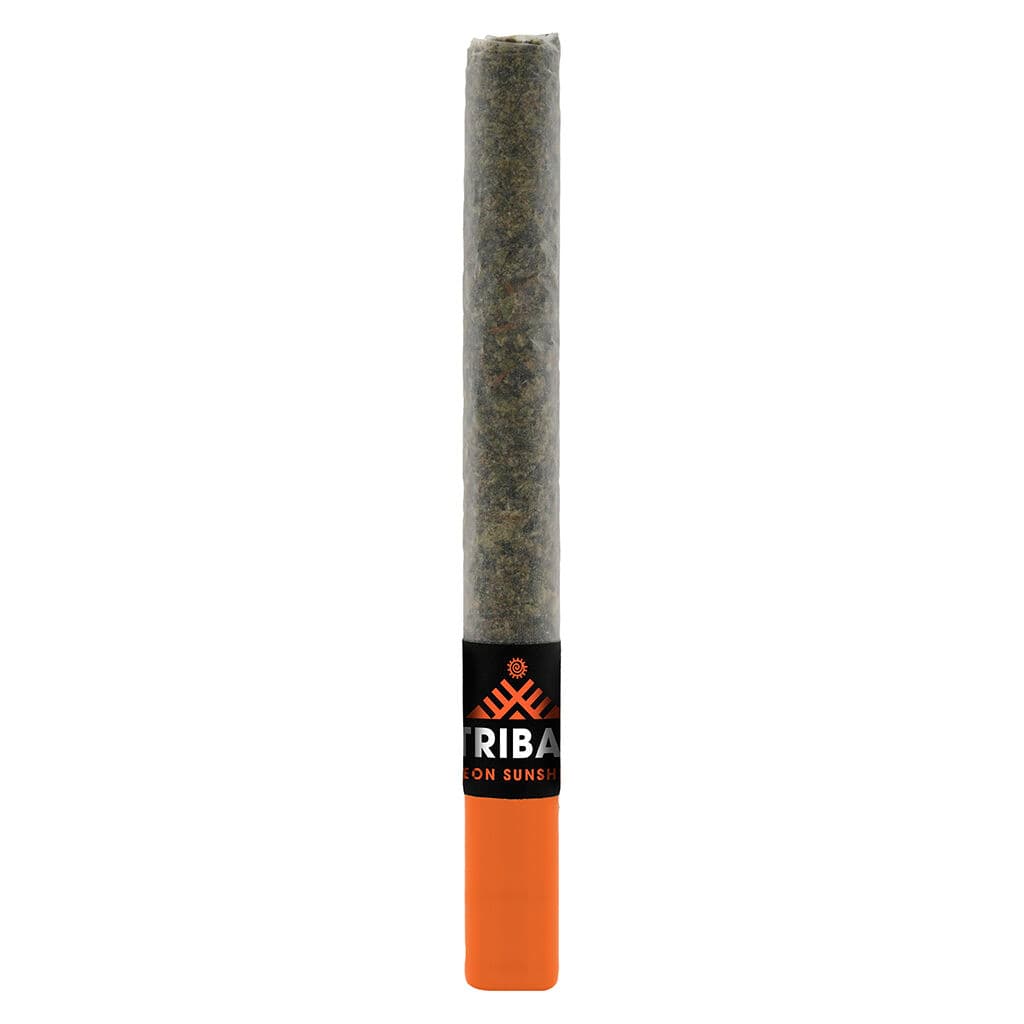 Tribal - Neon Sunshine 1 x 1g Ceramic Tip Pre-Roll by Tribal - Pre-Rolls