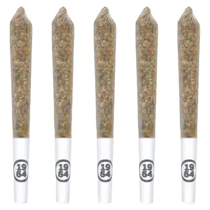 1964 Stinky Pinky 5 x 0.5g Pre-Rolls 2.5g — Pre-Roll
