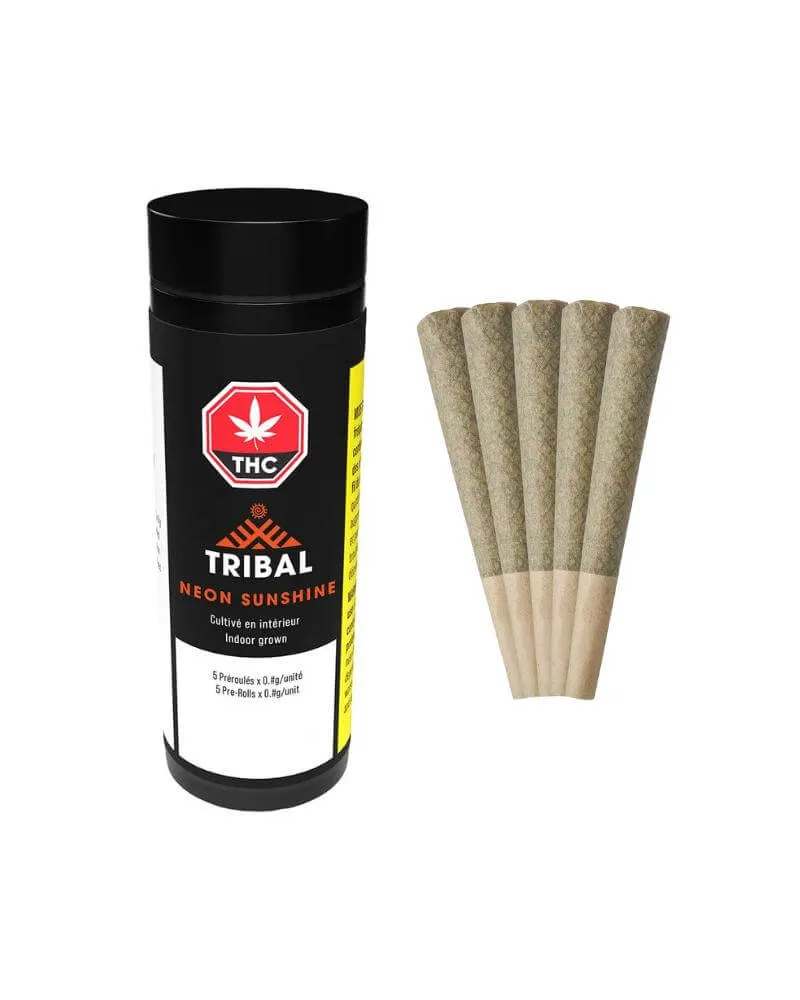 Tribal Neon Sunshine 5 x 0.6g Pre-Rolls 3g — Pre-Roll