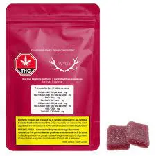 Wyld Wyld Real Fruit Raspberry 2 x 4g Soft Chews 8g — Edible