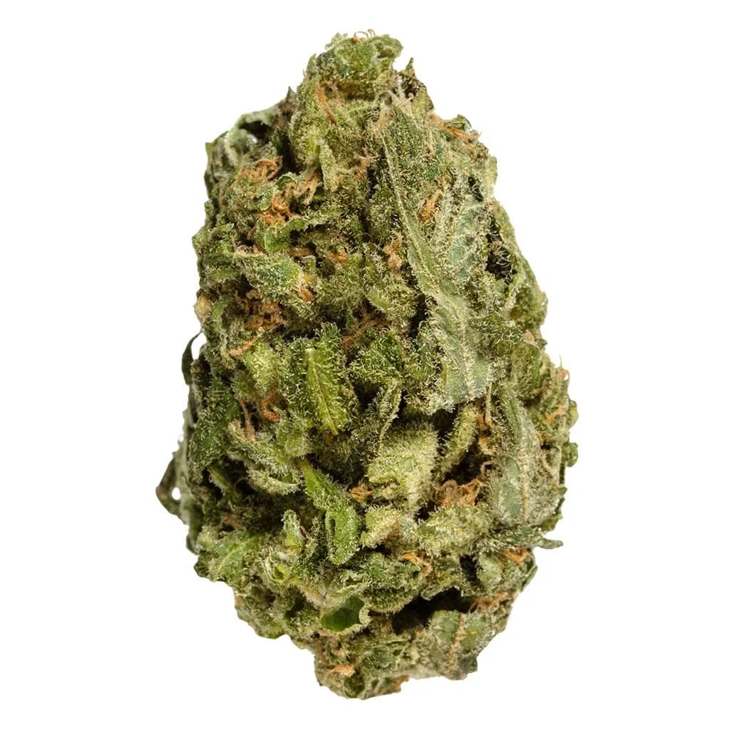 Bake Sale All Purpose Flower Sativa 28g Flower 28g — Dried Flower