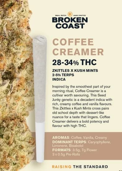 Broken Coast Coffee Creamer 3 x 0.5g Pre-Rolls 1.5g — Pre-Roll