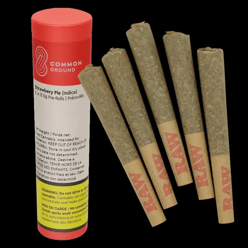 Common Ground Strawberry Pie 5 x 0.5g Pre-Rolls 2.5g — Pre-Roll