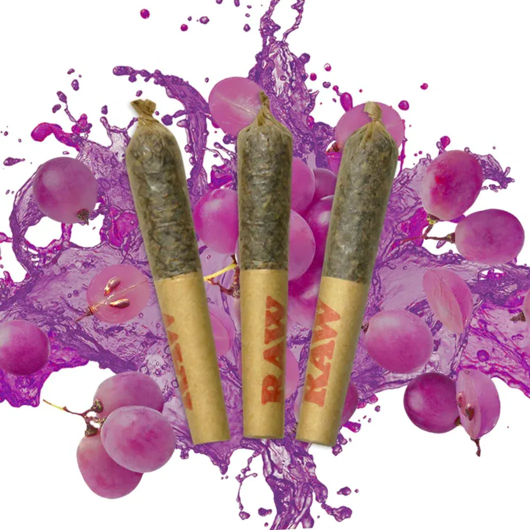 Dab Bods Dab Bods - Purple Elephant 50's+ 3 x 0.5g Triple Infused Pre-Rolls 1.5g — Infused Pre-Rolls