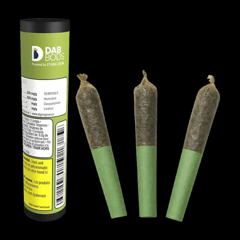 Dab Bods Tropical Burst 60's+ 3 x 0.5g Dbl Infused Pre-Rolls 1.5g — Infused Pre-Roll