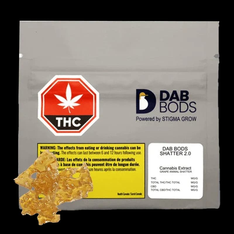 Dab Bods Dab Bods - Dab Bods Grape Animal 2.0 1g Shatter 1g — Concentrates