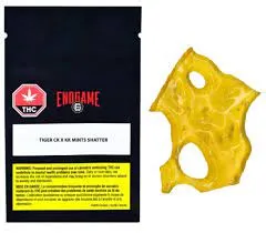 Endgame Endgame Pineapple OG Shatter - 1g 1g — Concentrates