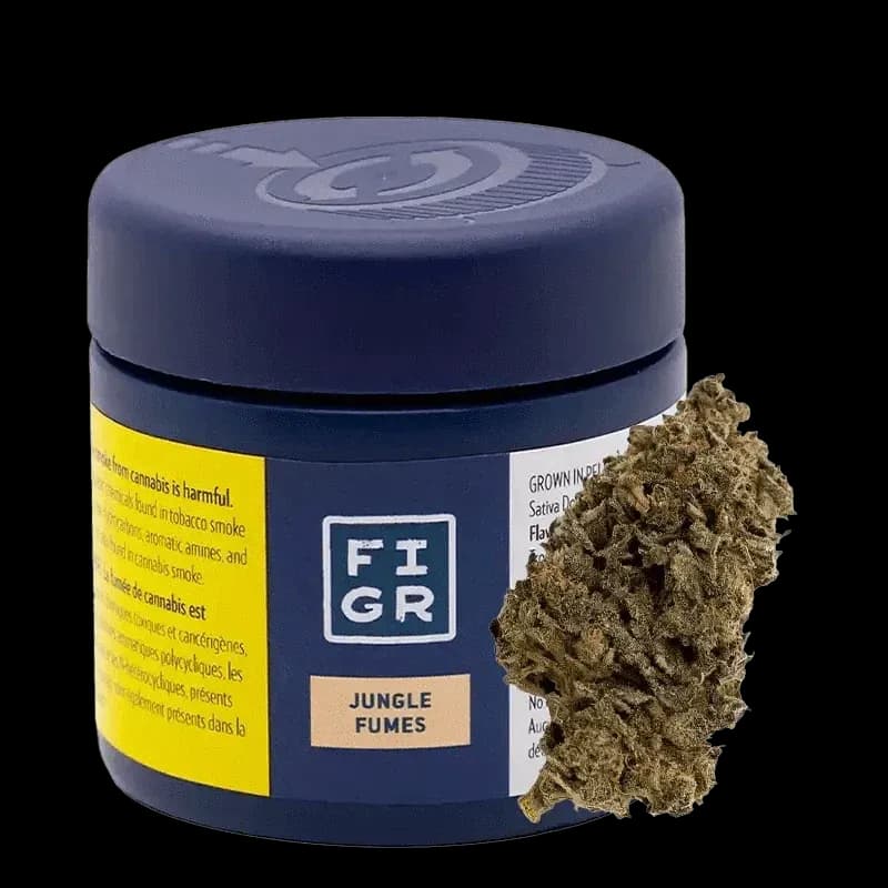 FIGR Jungle Fumes 3.5g Dried Flower 3.5g — Dried Flower