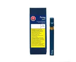 Foray Foray - Mango Haze Balanced 0.3 g Disposable Vape 0.3g — Vape Carts
