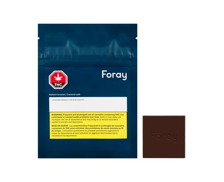 Foray Salted Caramel 1 x 10g Chocolate 10g — Edibles