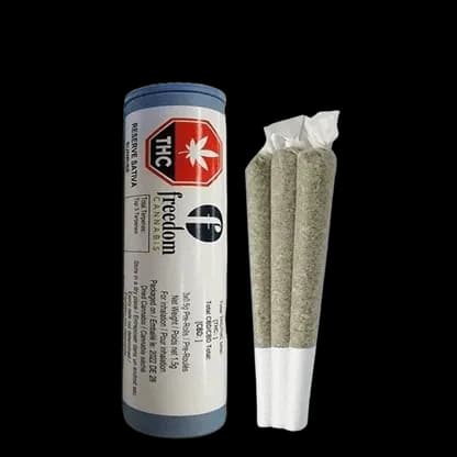 Freedom Reserve Freedom Reserve - Sunrise Guava Bars 3 x 0.5g Pre-Rolls 1.5g — Pre-Rolls