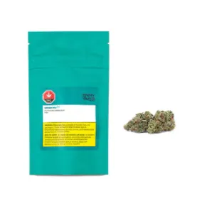 Highly Dutch Organic Rotterdam Indica 28 g Dried Flower 28g — Dried Flower