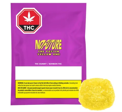 No Future No Future The Pectin Yellow One 10mg THC 1x10g Soft Chew 10g — Edible