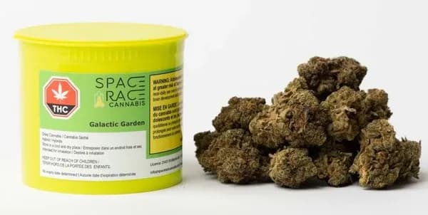 SPACE RACE CANNABIS SPACE RACE CANNABIS - Galactic Garden 14g Dried Flower 14g — Flower