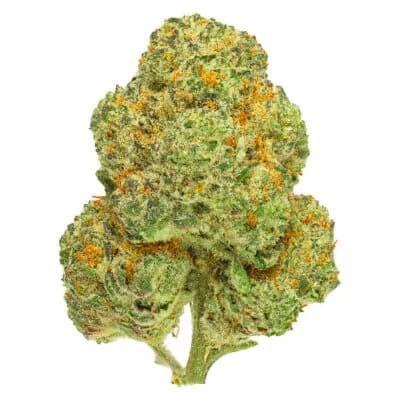 Good Supply Summer Haze 7g Dried Flower 7g — Dried Flower