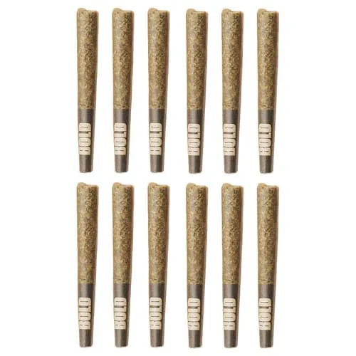 BOLD Root Beer Float 10 x 0.5g Pre-Rolls 5g — Pre-Roll