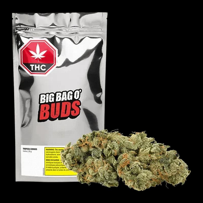 Big Bag of Buds Tropical Cookies 28g Dried Flower 28g — Dried Flower