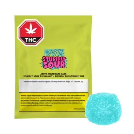 No Future Arctic Meltdown Blues 1 x 10g Sour Soft Chew 10g — Edible