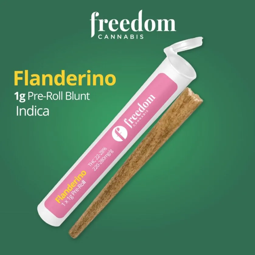 Freedom Cannabis Flanderino 1 x 1g Blunt 1g — Pre-Roll