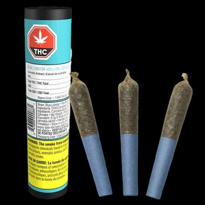 Dab Bods Blue Lobster 60's+ 3 x 0.5g Dbl Infused Pre-Rolls 1.5g — Pre-Roll