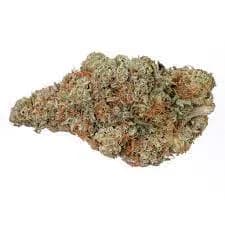 Highly Dutch Organic Highly Dutch Organic - Rotterdam Indica 28 g Dried Flower 28g — Flower