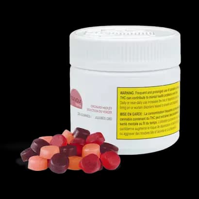 Monjour Monjour - Monjour Orchard Medley 30mg CBD 5 x 4.5g Soft Chews 22.5g — Edibles