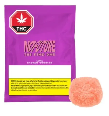 No Future No Future - Pink Sativa THC 1 x 10g Soft Chew 10g — Edibles