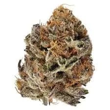 Spinach Spinach - Atomic Sour Grapefruit 28g Dried Flower 28g — Flower