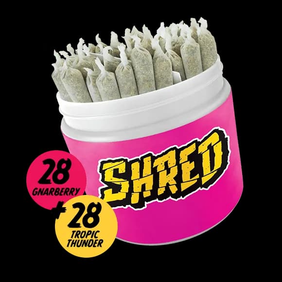 SHRED Big Jar of Joints Tropic Thunder + Gnarberry 56 x 0.5g Pre-Rolls 28g — Pre-Roll