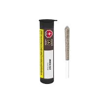 Station House Station House - Amnesia Haze 1 x 0.5g Pre-Roll 0.5g — Pre-Rolls