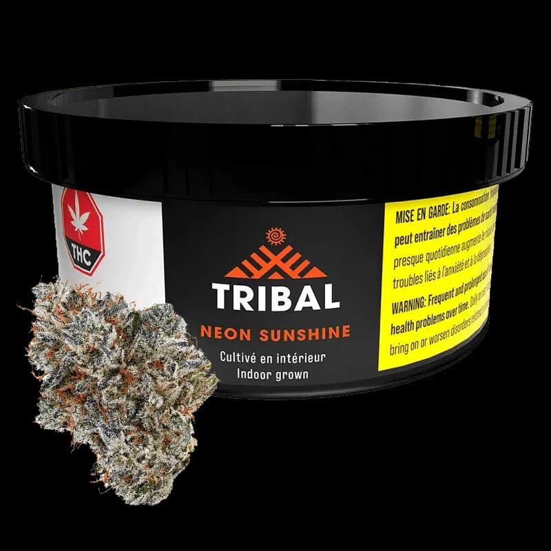 Tribal Tribal - Neon Sunshine 3.5g Dried Flower 3.5g — Flower