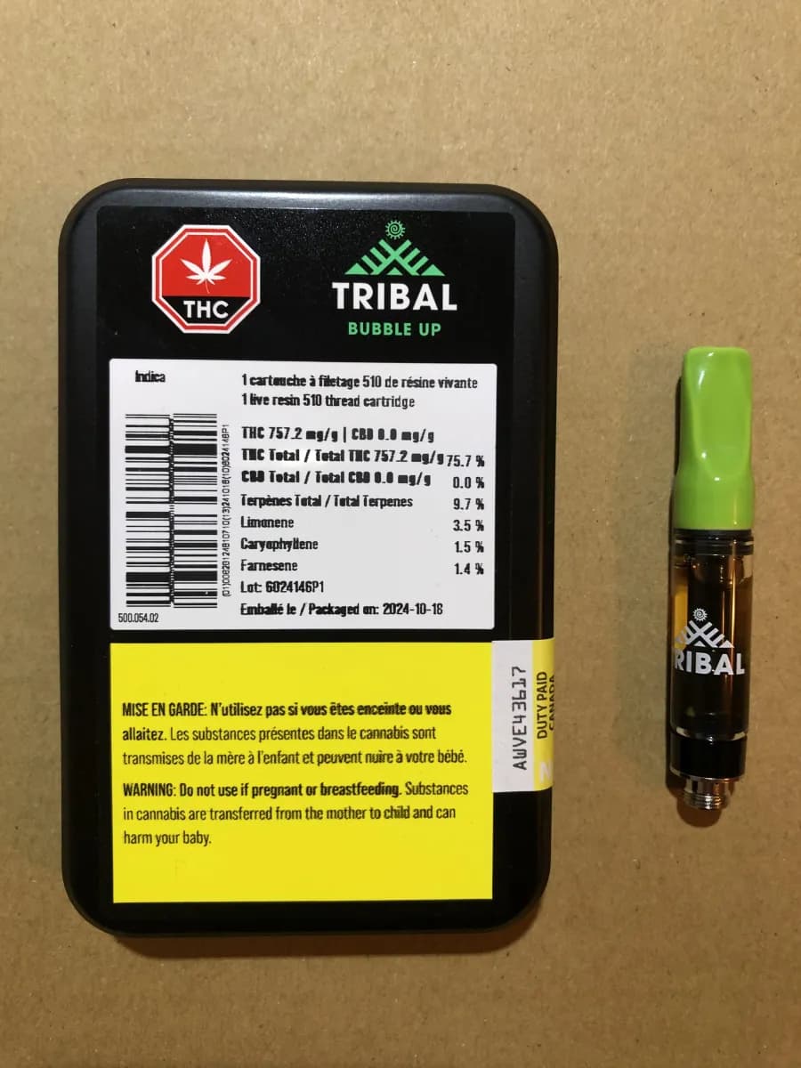 Tribal Tribal - Tribal Bubble Up Live Resin 1g Prefilled Vape Cartridge 1g — Vape Carts