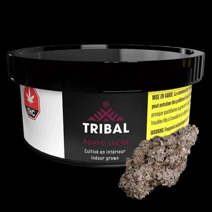 Tribal Porto Leche - Porto Leche 3.5g Dried Flower 3.5g — Dried Flower