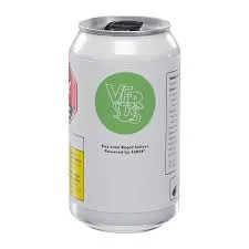 Versus Versus - Key Lime Rapid Seltzer Powered by SoRSE 355 mL 355g — Beverages